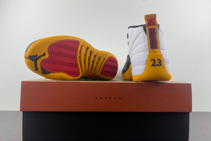 Air Jordan 12 Retro AJ12  DR8887-100