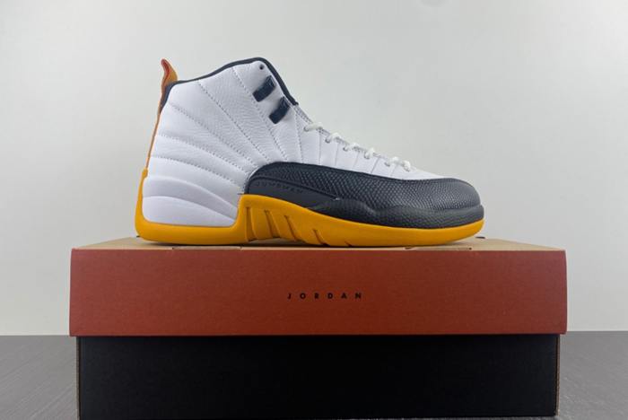 Air Jordan 12 Retro AJ12  DR8887-100
