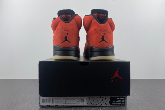 Air Jordan 5 Retro DD9336-800