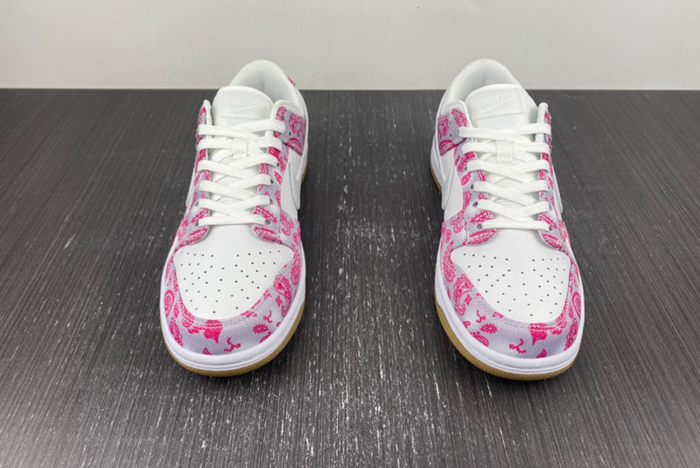 Nike SB Dunk Low Retro SP “ CT5053-061