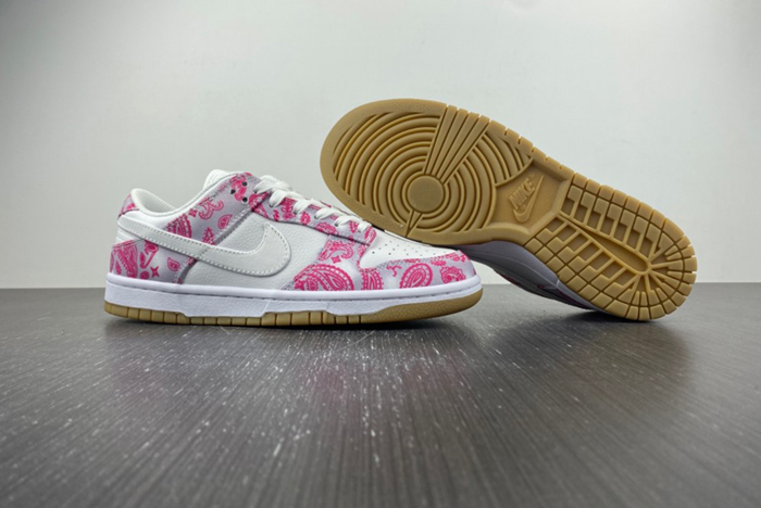 Nike SB Dunk Low Retro SP “ CT5053-061