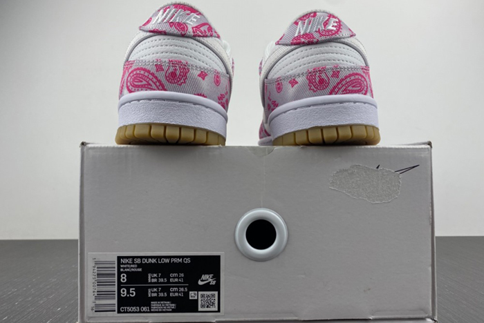 Nike SB Dunk Low Retro SP “ CT5053-061