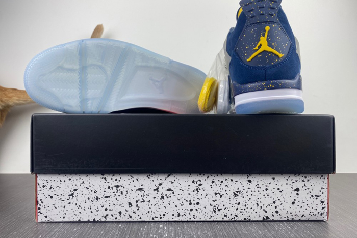 Air Jordan4  AJ4-1036660