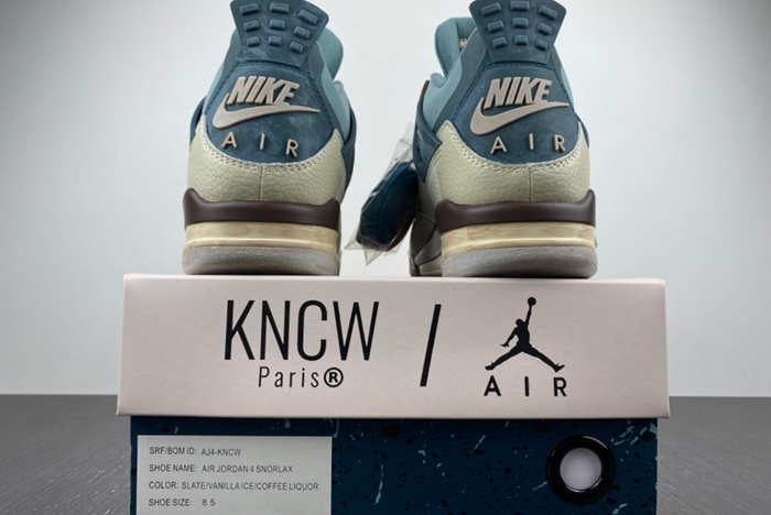 Air Jordan 4 KNCW