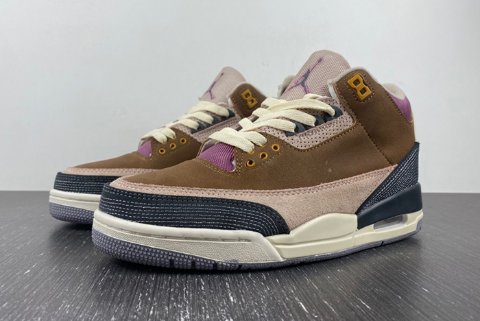 Air Jordan 3 Retro SE AJ3 DR8869-200