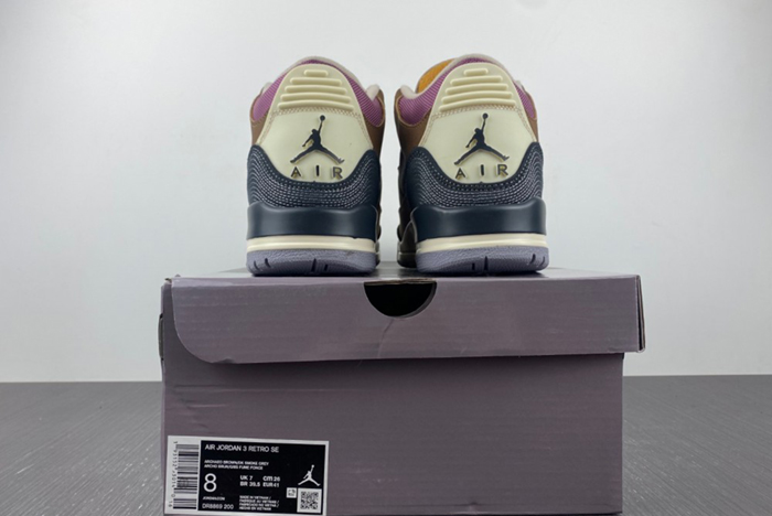 Air Jordan 3 Retro SE AJ3 DR8869-200