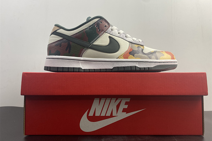 Nike Dunk Low Multi Camo DH0957-100