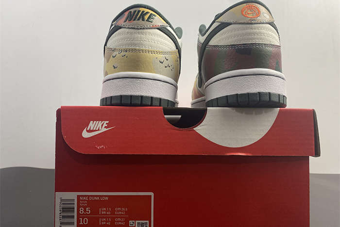 Nike Dunk Low Multi Camo DH0957-100