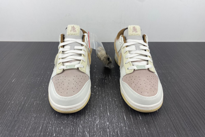 NIKE Dunk Low FD4203-211