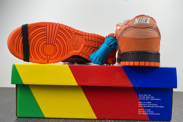 Concepts x Nike SB Dunk Low FD8776-800