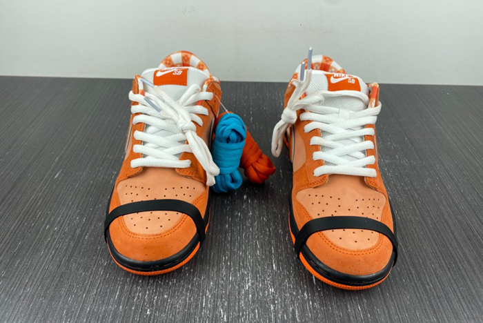 Concepts x Nike SB Dunk Low FD8776-800