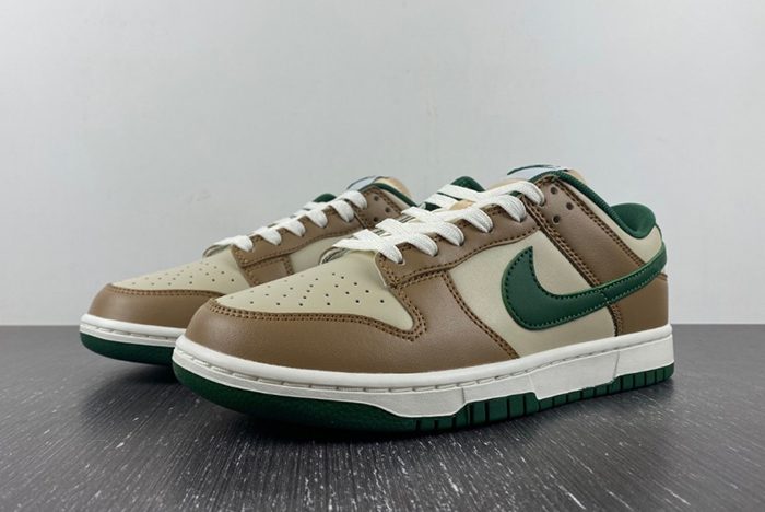 Nike Dunk Low Retro FB7160-231
