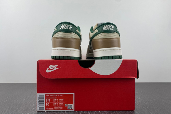 Nike Dunk Low Retro  FB7160-231