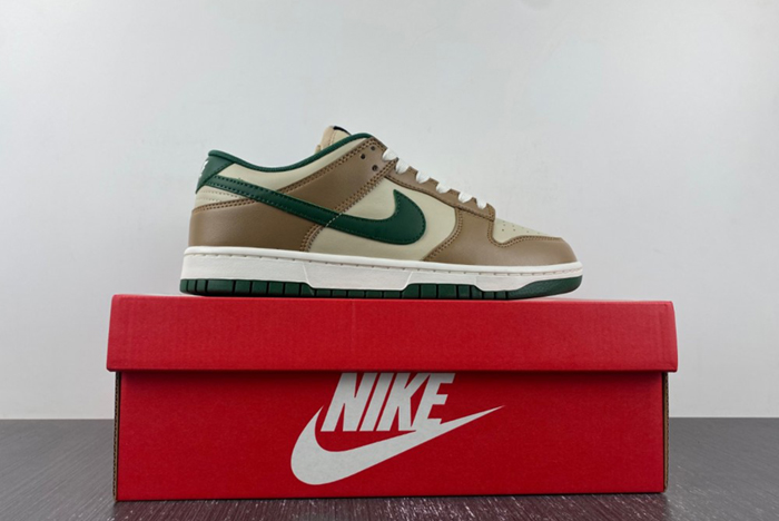 Nike Dunk Low Retro  FB7160-231