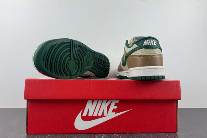 Nike Dunk Low Retro  FB7160-231