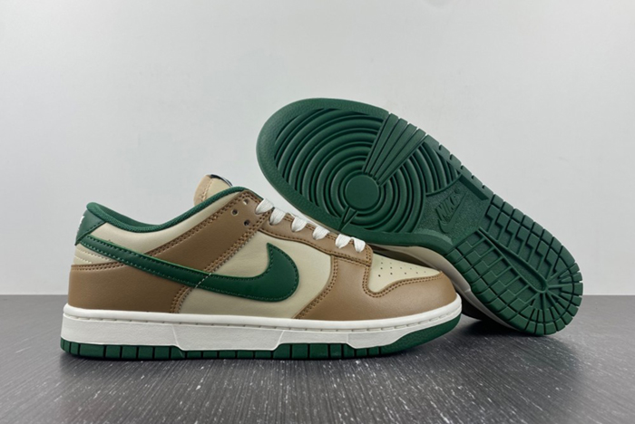 Nike Dunk Low Retro  FB7160-231