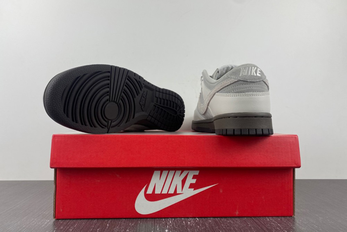 Dunk Low Ironstone FD9746-001