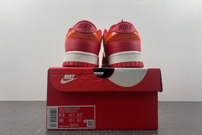 Nike Dunk Low ATL FD0724-657