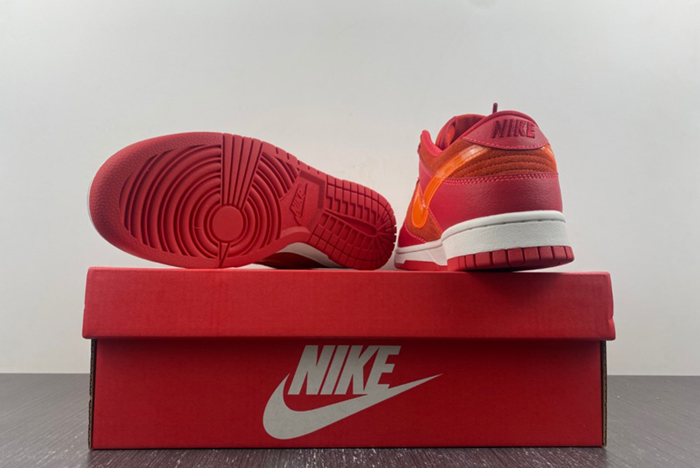 Nike Dunk Low ATL FD0724-657