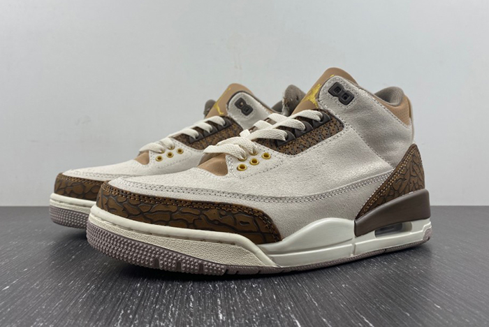 Air Jordan 3 “Palomino” CT8532-102