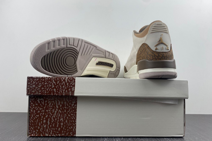 Air Jordan 3 “Palomino” CT8532-102