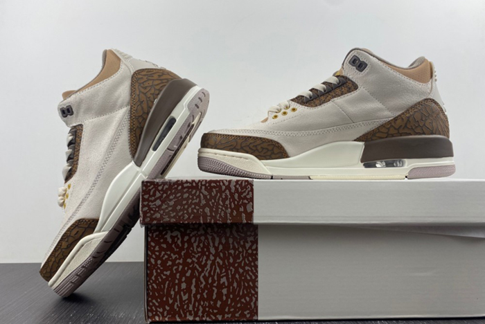 Air Jordan 3 “Palomino” CT8532-102