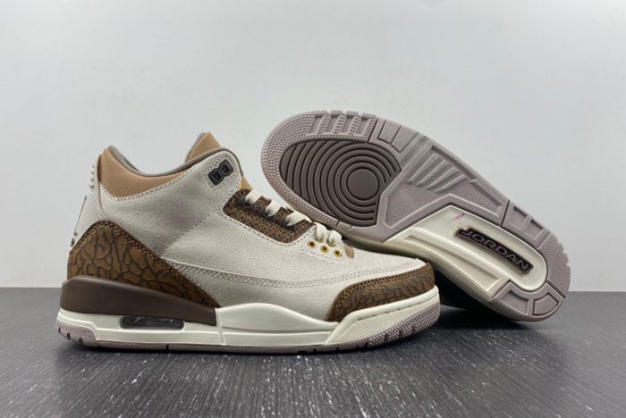 Air Jordan 3 “Palomino” CT8532-102