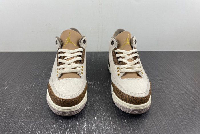 Air Jordan 3 “Palomino” CT8532-102