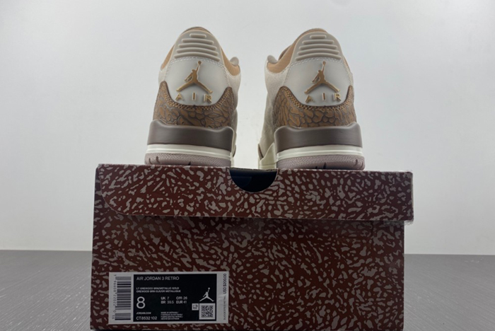 Air Jordan 3 “Palomino” CT8532-102