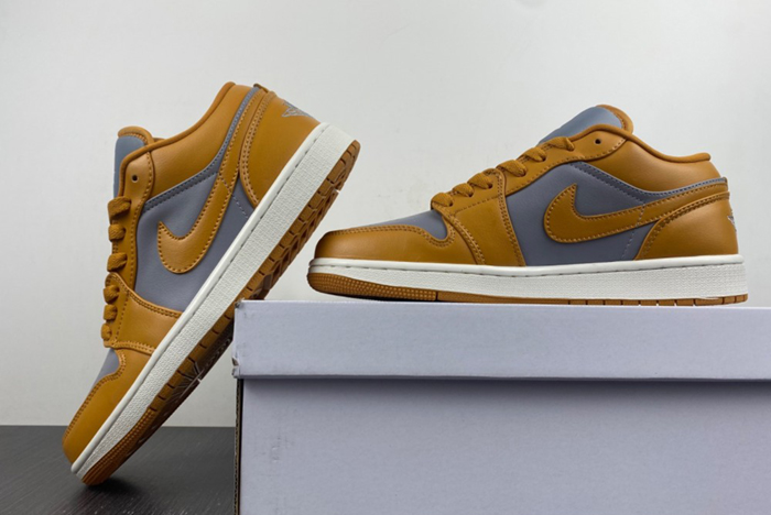 Air Jordan 1 Low AJ1  DC0774-020