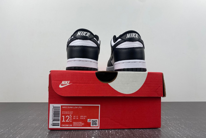Nike Dunk Low (PS) CW1588-100