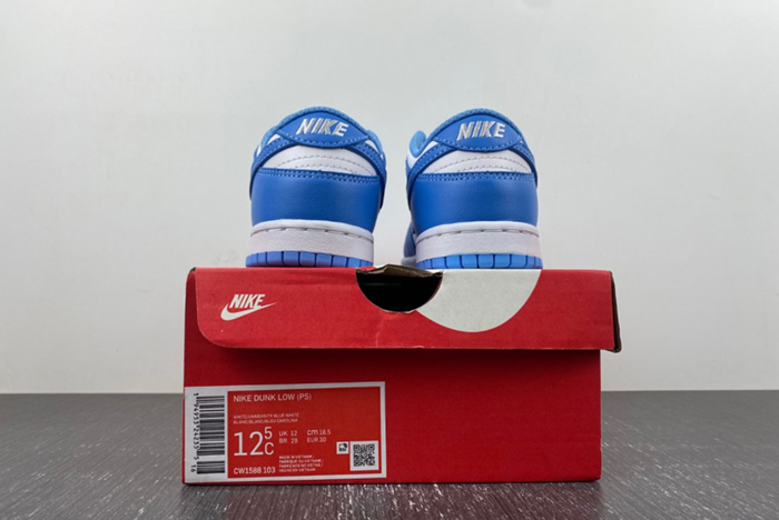 PS) Nike Dunk Low 