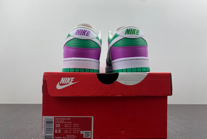 NIKE Dunk Low 2023 FD9924-311