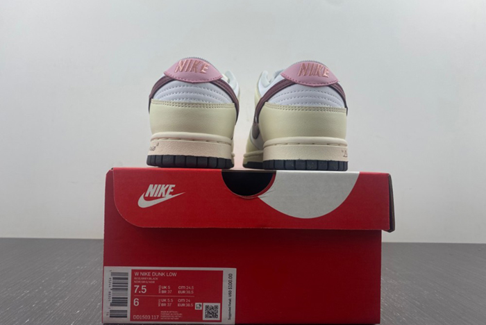 Nike Dunk Low DD1503-117