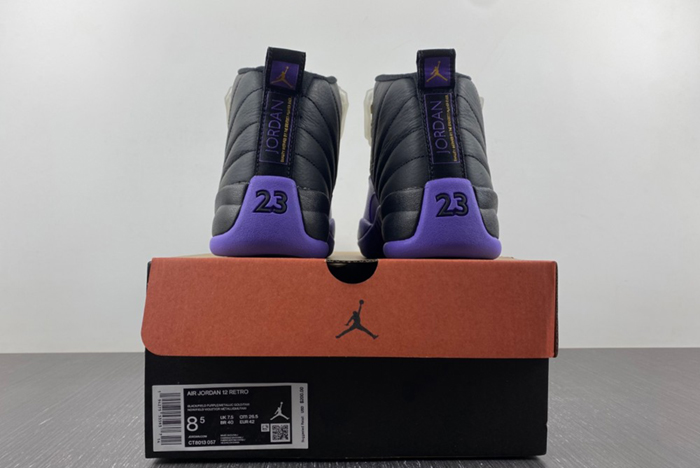 Jordan 12 Retro Field Purple CT8013-057