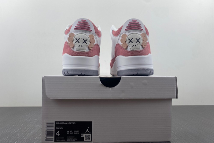 Air Jordan 3 CK9246-981
