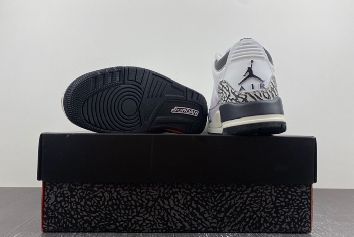 Air Jordan 3 GS “Hide N’ Sneak” DX6665-100