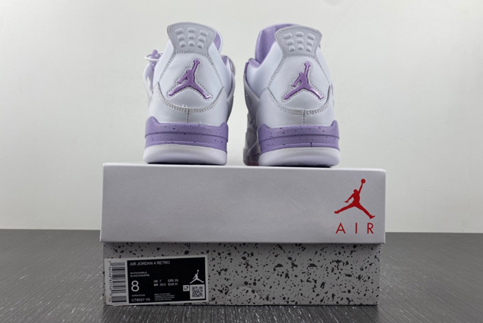 Air Jordan 4 CT8527 115