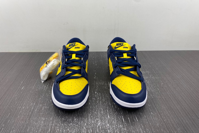 Nike Dunk Low Disrupt 2  DV4024-400