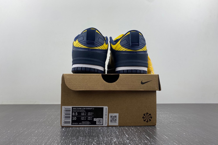 Nike Dunk Low Disrupt 2  DV4024-400