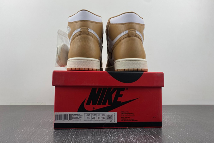 Air Jordan 1 High OG WMNS “Praline” FN6622-201