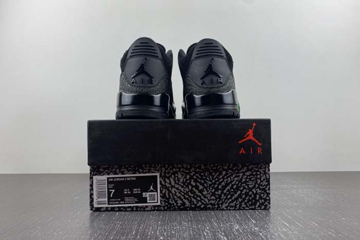 Air Jordan 3 CK9246-168