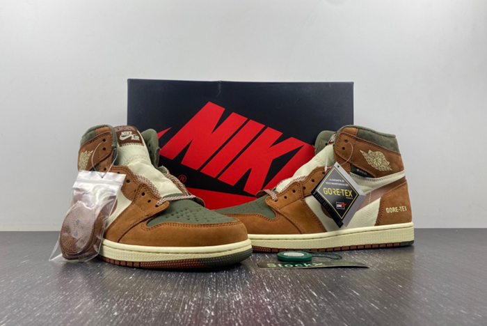 AJ1 Gore-Tex Jordan 1 High DB2889-100