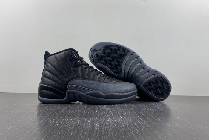 Air Jordan 12 “Black/Wolf Grey” CT8013 019