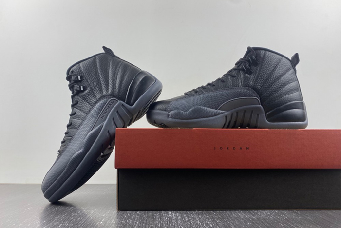 Air Jordan 12 “Black/Wolf Grey” CT8013 019