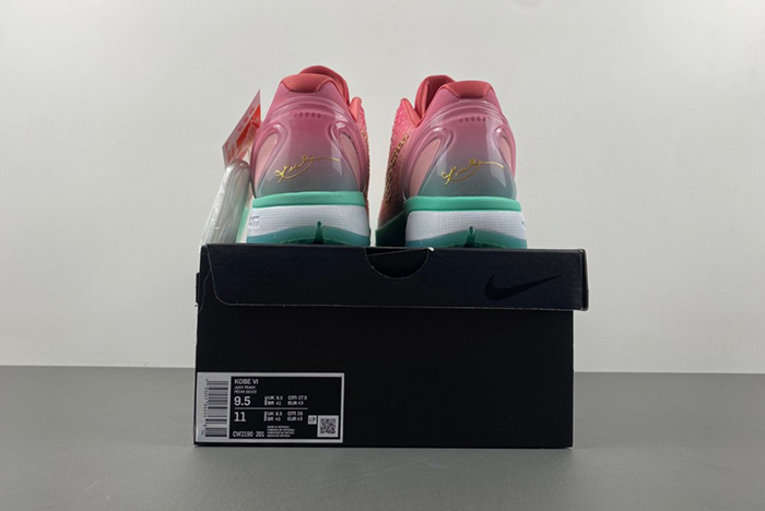 (NIKE)Zoom Kobe 6 ZK6 CM2190-201