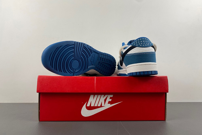 Nike Dunk Low DV0834-101