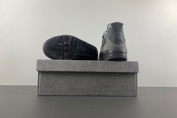 Air Jordan 4 SE “Paris Olympics” FQ7928-001